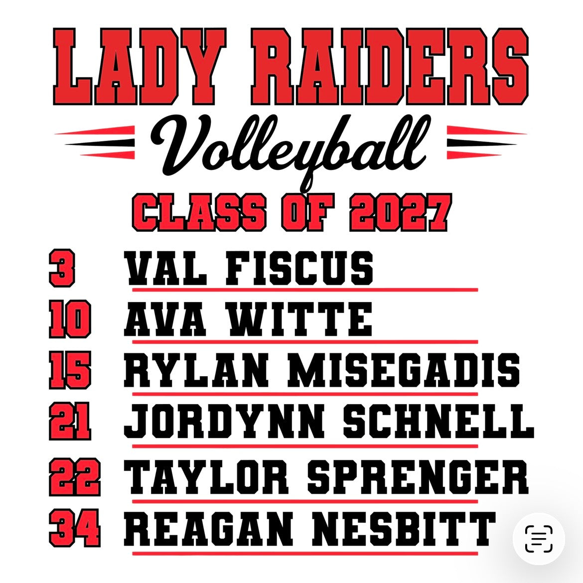 Sidney Volleyball Seniors