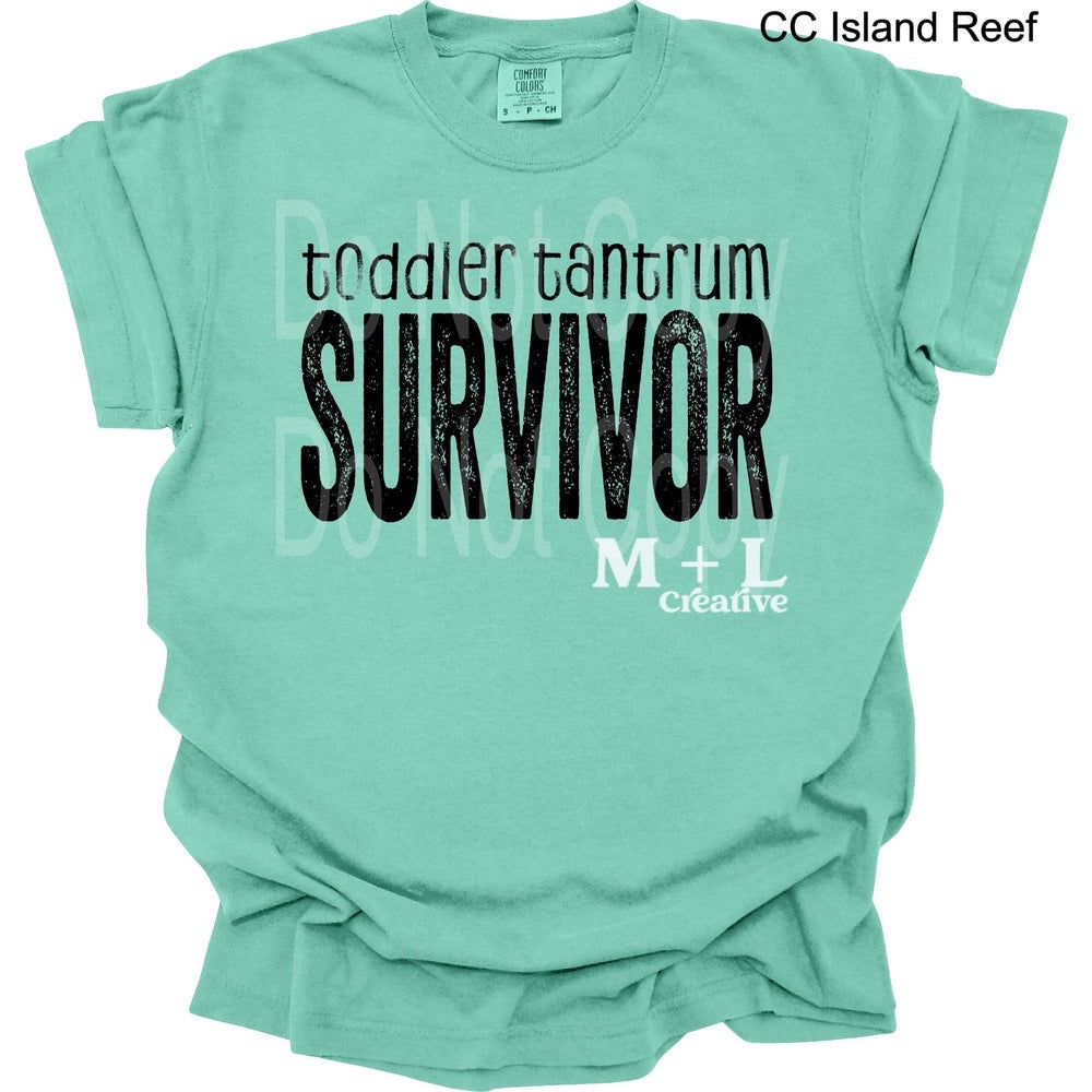 Toddler Tantrum Survivor