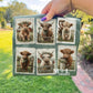 Highland Cow Stamps