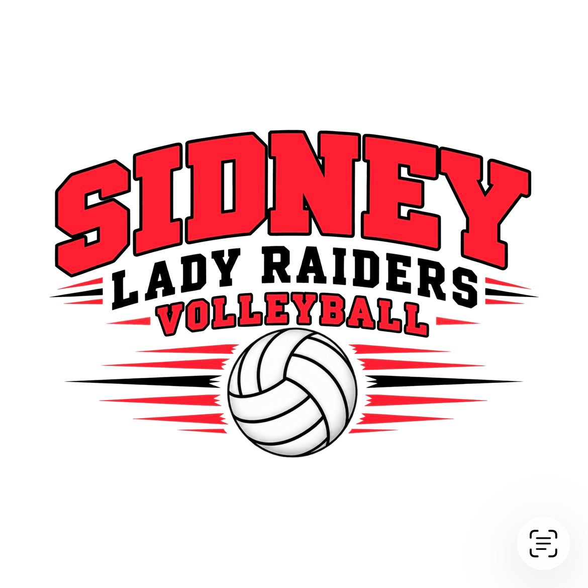 Sidney Volleyball Seniors