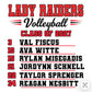 Sidney Volleyball Seniors